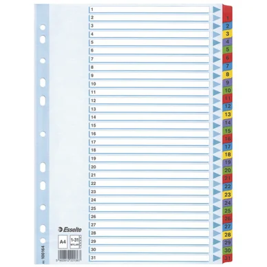 Register Mylar A4/1-31 multifärgat