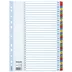 Register Mylar A4/1-31 multifärgat